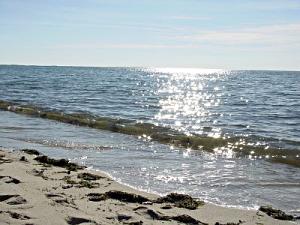 hardings beach chatham