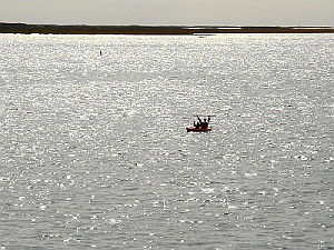 Kayakers, Nantucket Sound, Monomoy Island