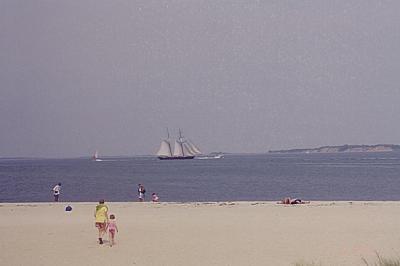 Edgartown Harbor in Martha's Vineyard